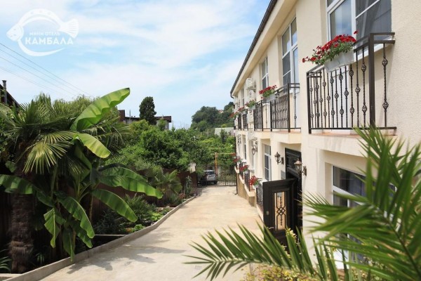 Отель Камбала  Головинка